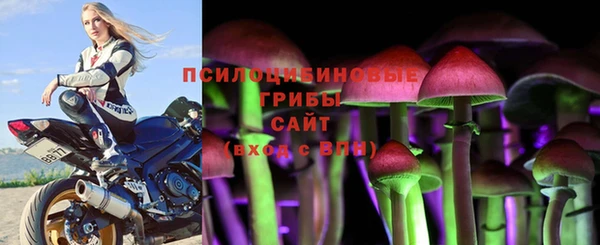 наркотики Карпинск